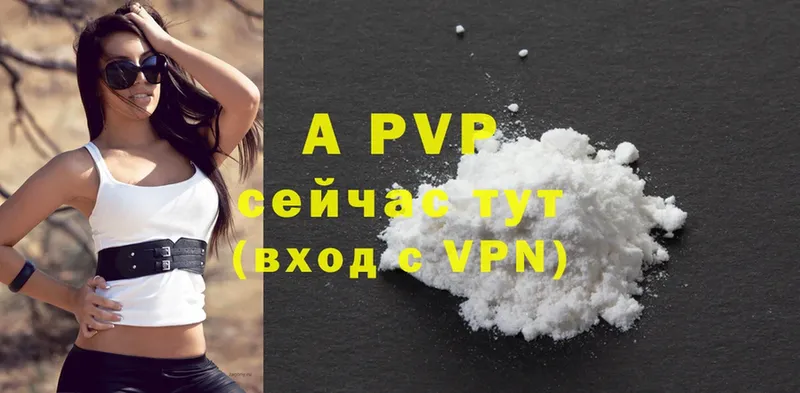 A PVP СК  Кинель 